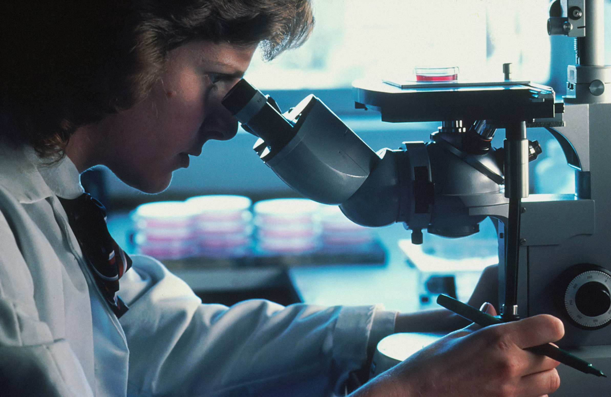 Una investigadora trabaja al microscopio bajo el sello de Spanish Taleñto